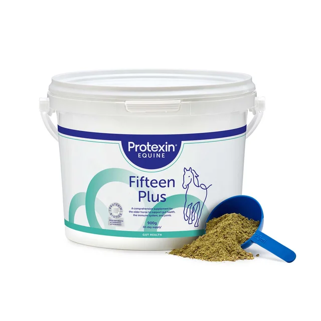 Fifteen Plus 900g