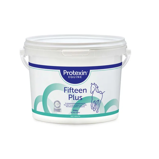 Fifteen Plus 900g