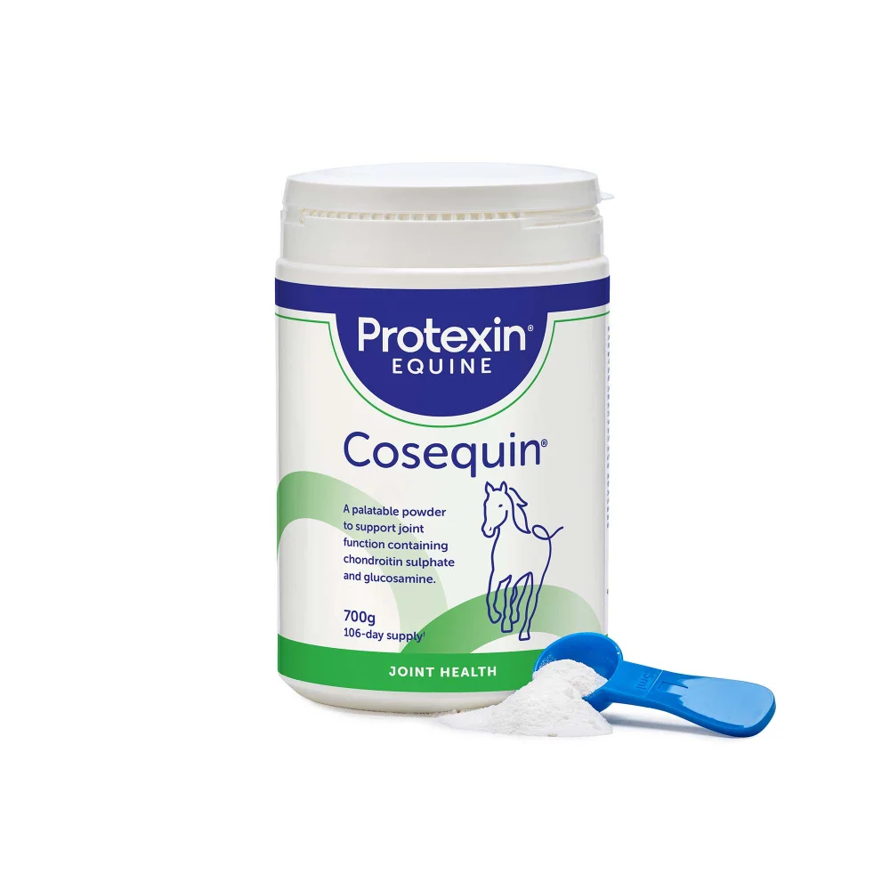 Cosequin 700g Image 1