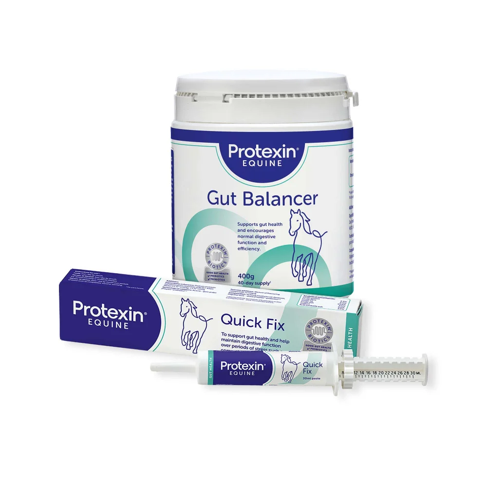 Gut Balancer 400g & Quick Fix Image 1