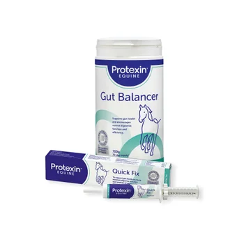 Gut Balancer 700g & Quick Fix