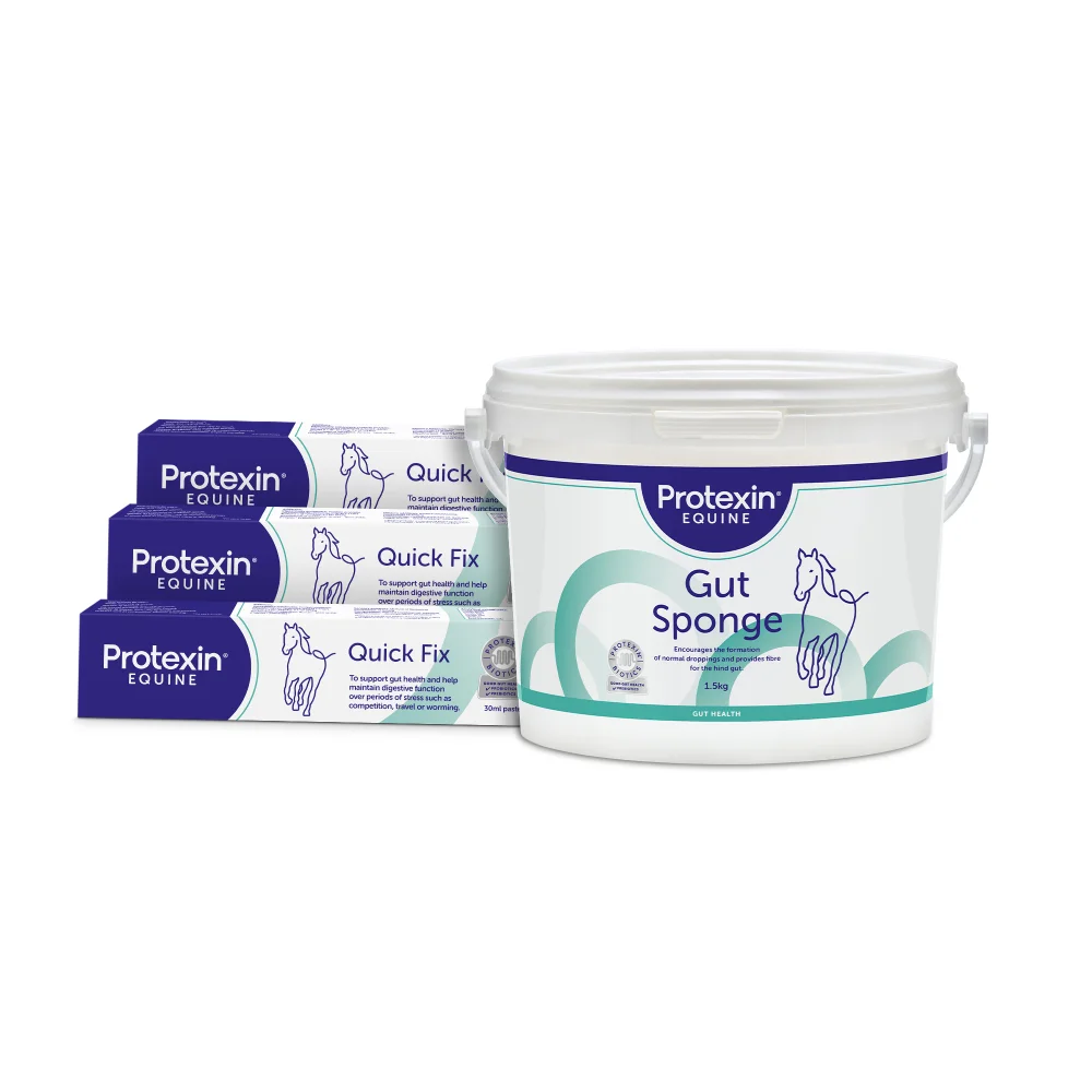 Gut Sponge + Quick Fix Trio Image 1