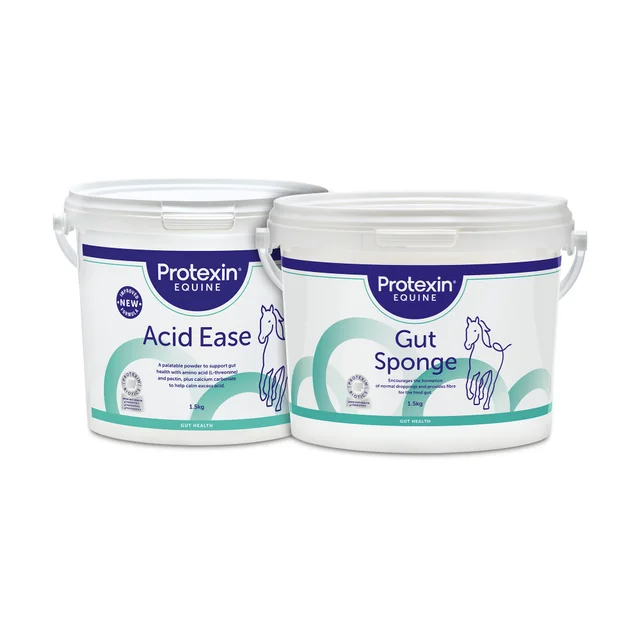 Acid Ease 1.5kg + Gut Sponge