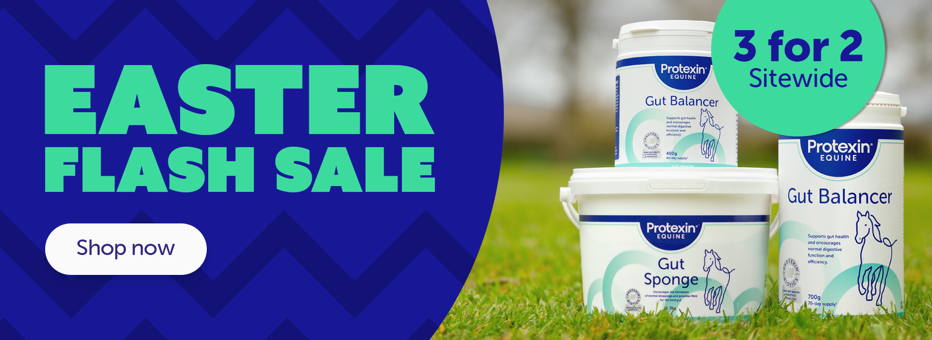 Ester flash sale 3 for 2 sitewide. Shop now.