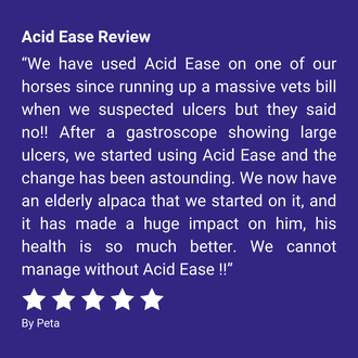 "We have used Acid Ease on one of our horses since running up a massive vets bill when we suspected ulcers but they said no!! After a gastroscope showing large ulcers, we started using Acid Ease and the change has been astounding. We now have an elderly alpaca that we started on it, and it has made a huge impact on him, his health is so much better. We cannot manage without Acid Ease !!” By Peta