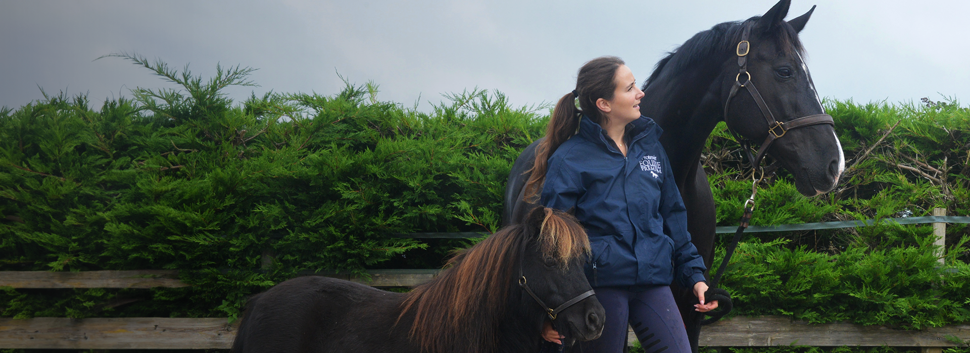Woman stroking horse in stable