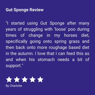 Gut Sponge Review "I started using Gut Sponge after many years of struggling with ‘loose’ poo during times of change in my horses diet, specifically going onto spring grass and then back onto more roughage based diet in the autumn. I love that I can feed this as and when his stomach needs a bit of support." By Charlotte
