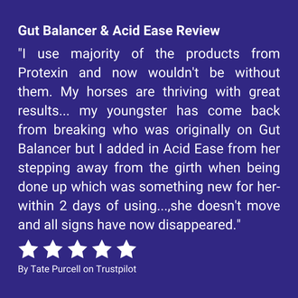 Gut Balancer & Acid Ease Review "I use majority of the products from Protexin and now wouldn't be without them. My horses are thriving with great results... my youngster has come back from breaking who was originally on Gut Balancer but I added in Acid Ease from her stepping away from the girth when being done up which was something new for her- within 2 days of using..,she doesn't move and all signs have now disappeared." By Tate Purcell on Trustpilot