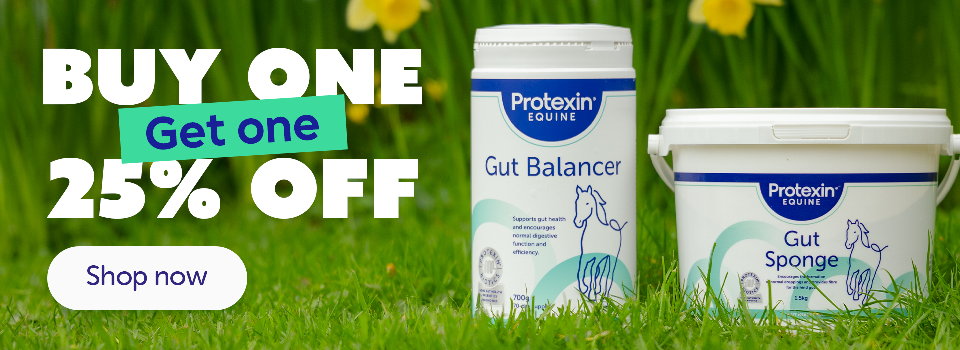 Win a years supply of Gut Balancer