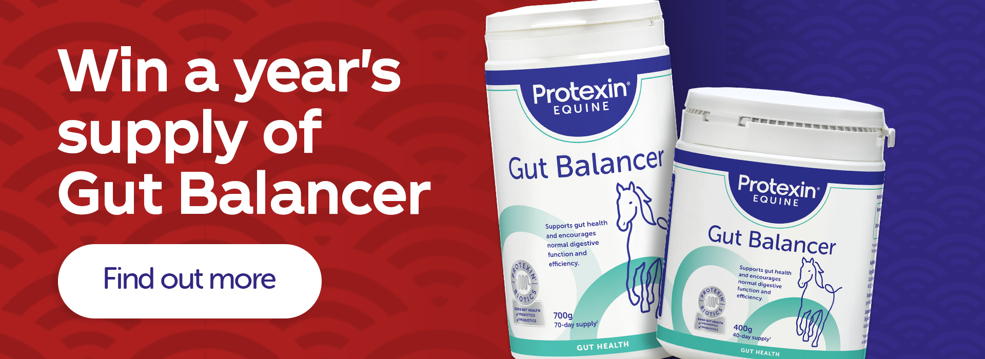 Win a years supply of gut balancer. Discovert More