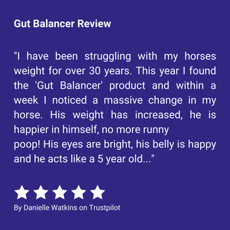 Gut Balancer Review "I have been struggling with my horses weight for over 30 years. This year I found the 'Gut Balancer' product and within a week I noticed a massive change in my horse. His weight has increased, he is happier in himself, no more runny poop! His eyes are bright, his belly is happy and he acts like a 5 year old..." By Danielle Watkins on Trustpilot